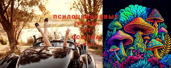 PSILOCYBIN Елизово